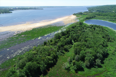 Baie de Pumpkinseed Dyane Cotnoir