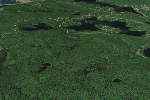 Société Immobilière Les Arpents Verts