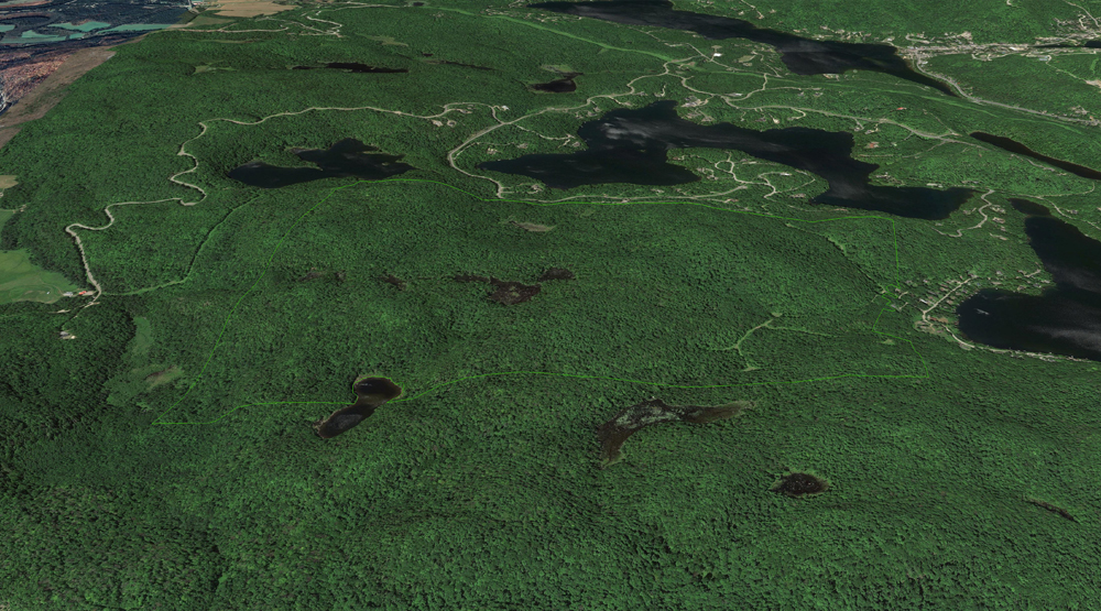 Société Immobilière Les Arpents Verts